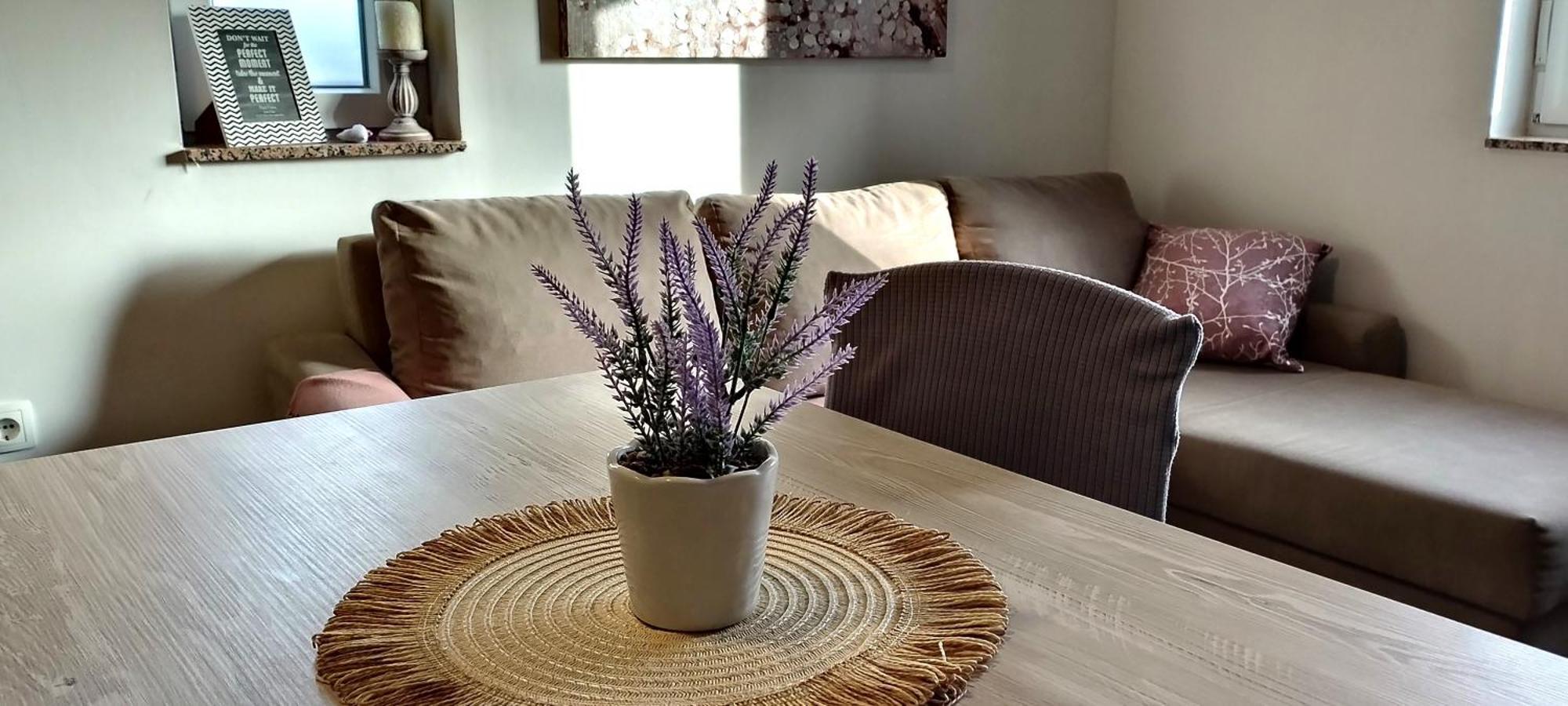 Apartment Morini Zadar Dış mekan fotoğraf